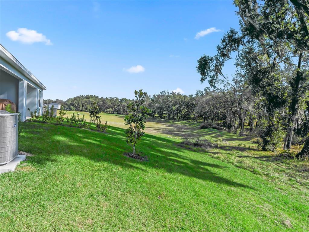 1238 Turtle Is Road Fruitland Park, FL 34731 - Photo 35 of 47