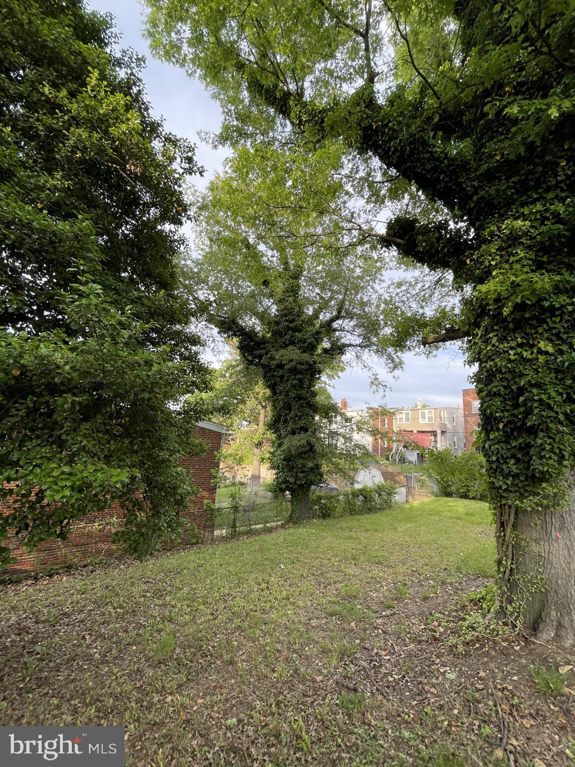 121 Raleigh Street Southeast Washington, DC 20032 - Photo 8 of 21 a view of a yard with a tree