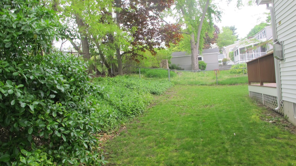 47 Puritan Road Watertown, MA 02472 - Photo 15 of 17 Gallery Image 15