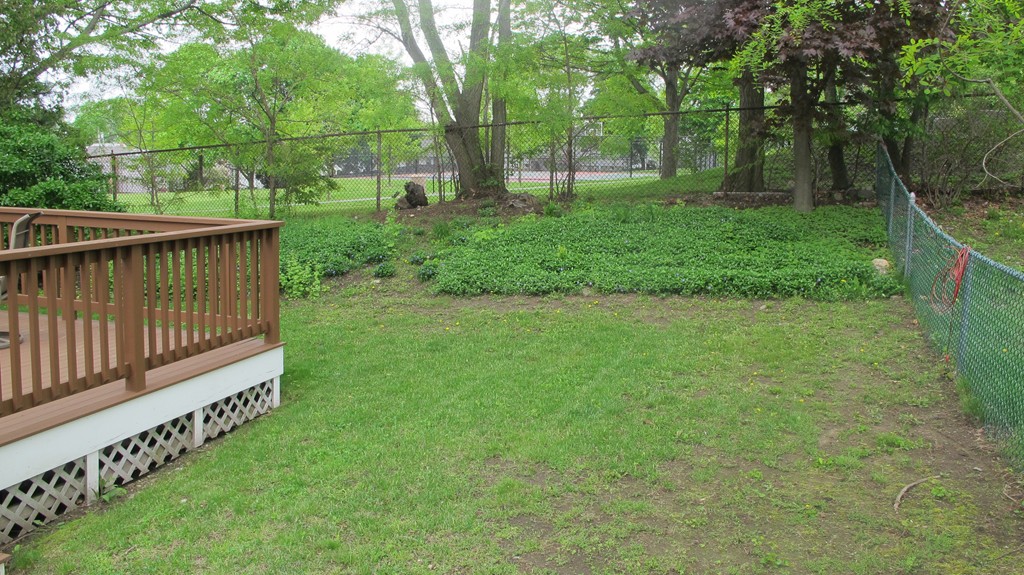 47 Puritan Road Watertown, MA 02472 - Photo 16 of 17 Gallery Image 16