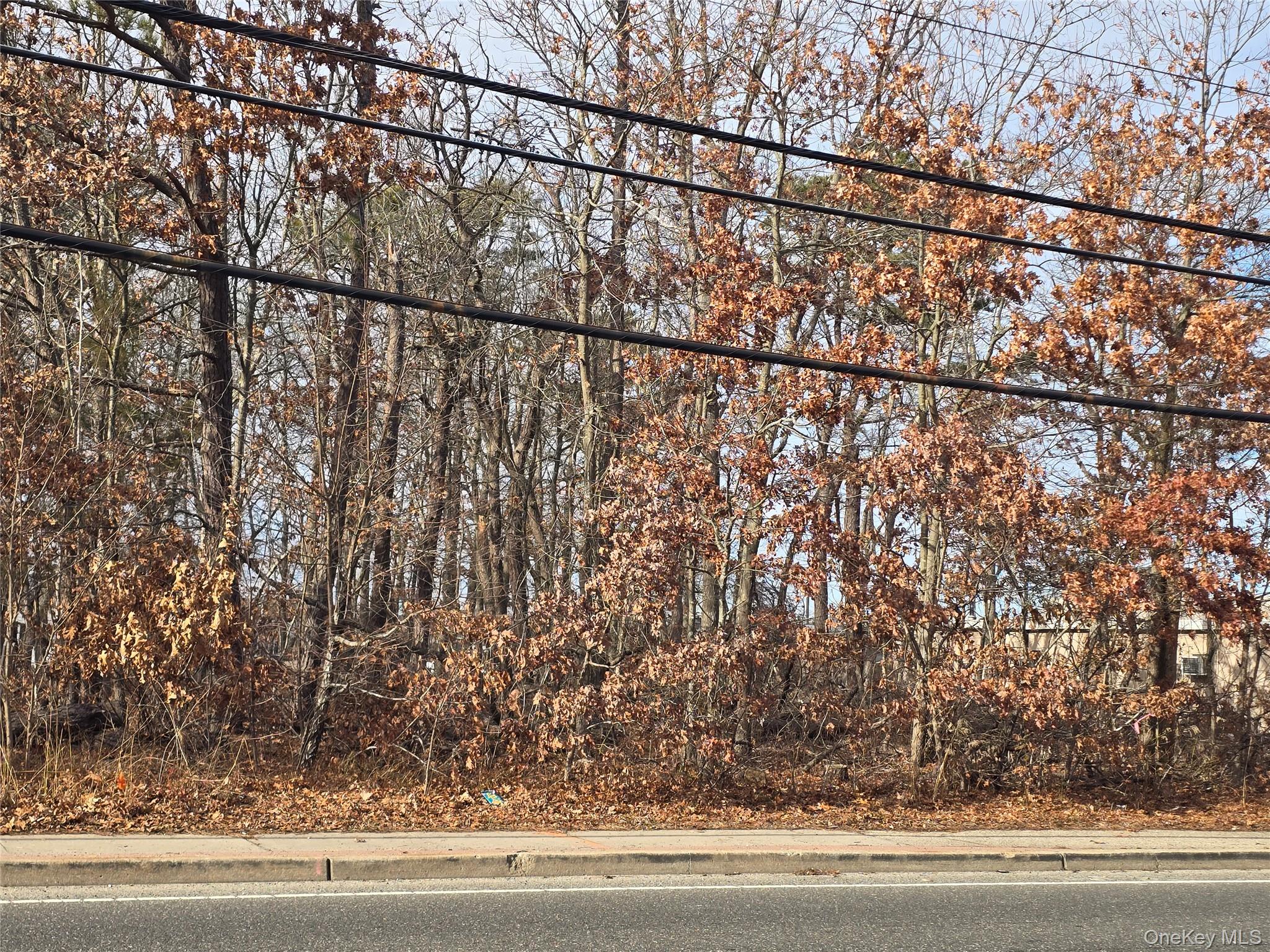 Vacant Land Mastic Road Shirley, NY 11967 - Photo 2 of 4