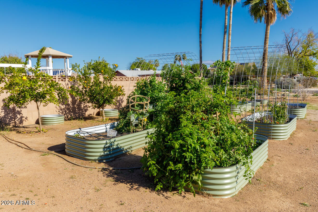 3222 West Hearn Road Phoenix, AZ 85053 - Photo 22 of 23 Raised garden