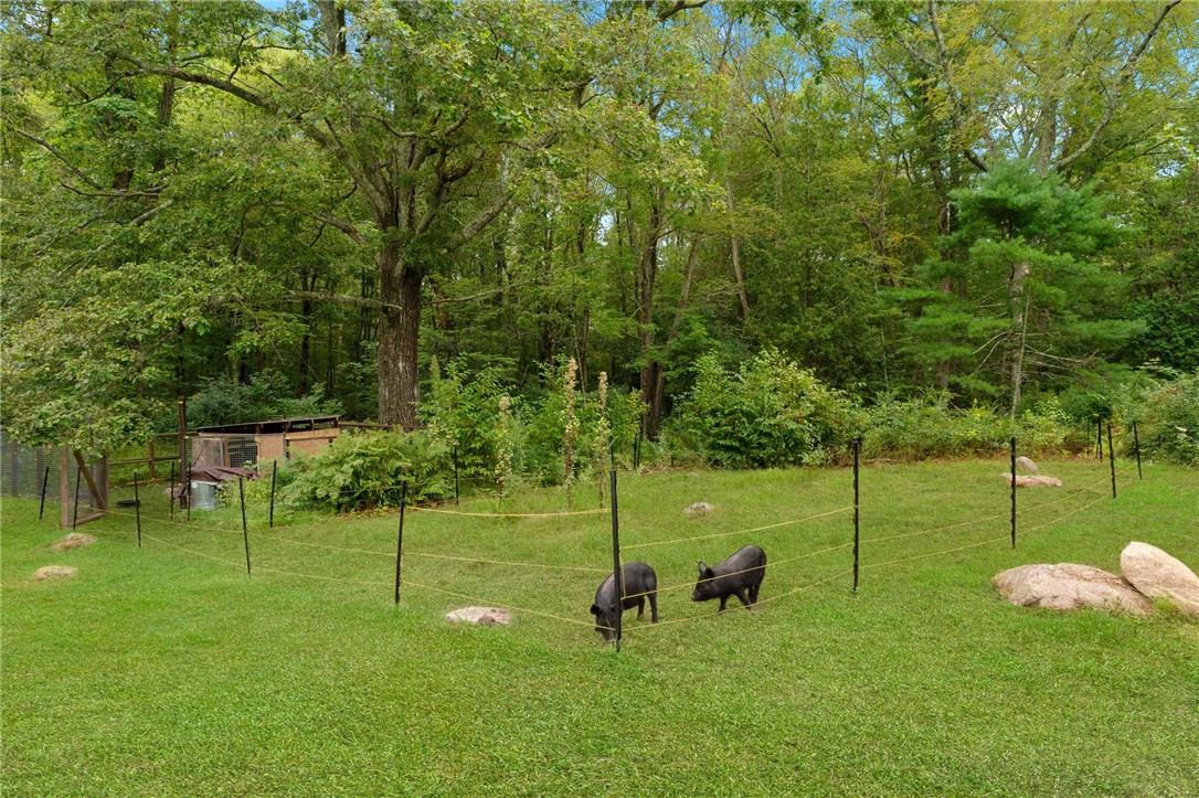 16 Burgess Road Foster, RI 02825 - Photo 37 of 44