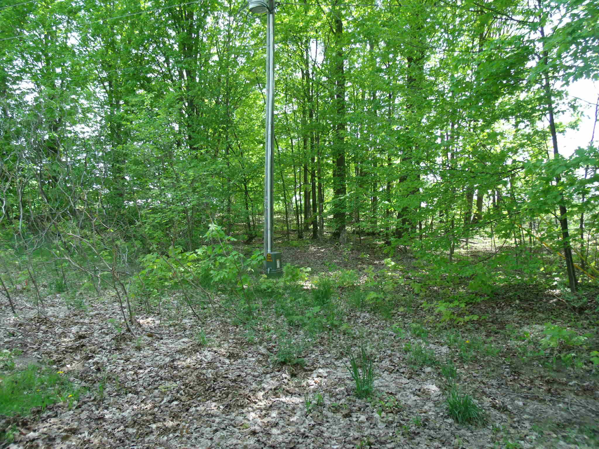 4355 West Burrows Road Wolverine, MI 49799 - Photo 33 of 49 GEDC2685