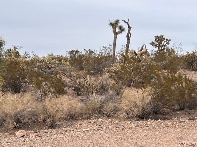 11466 Rocking Horse Drive Willow Beach, AZ 86445 - Photo 1 of 4