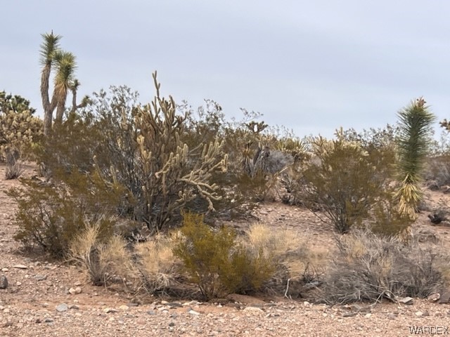 11466 Rocking Horse Drive Willow Beach, AZ 86445 - Photo 2 of 4