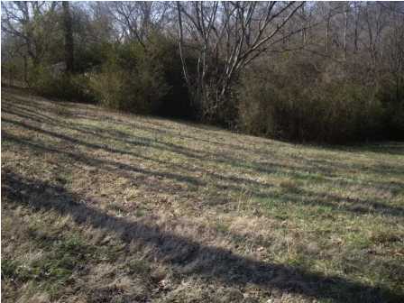 202 Burnt Mill Road Flintstone, GA 30725 - Photo 16 of 19 Additional Photo