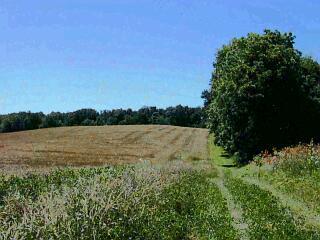 4 Mt Tabor Road Buchanan, MI 49107 - Photo 1 of 1 Primary Photo