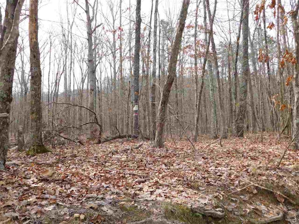 0 Scratch Ankle Road Whiteside, TN 37396 - Photo 3 of 6 20171481