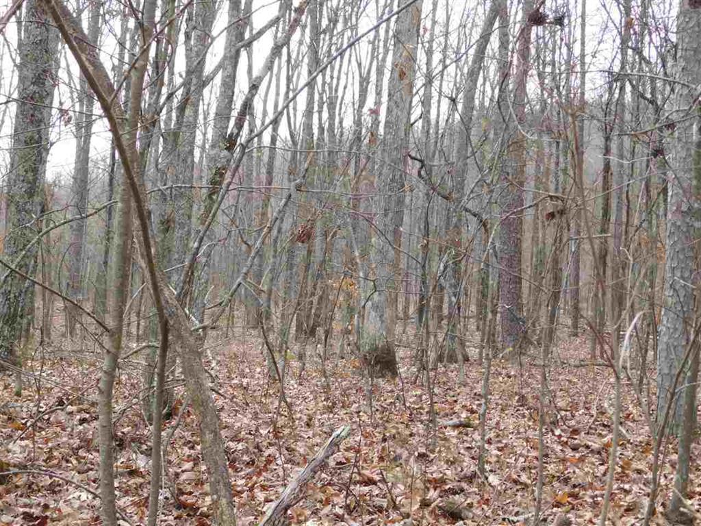 0 Scratch Ankle Road Whiteside, TN 37396 - Photo 4 of 6 20171481-1