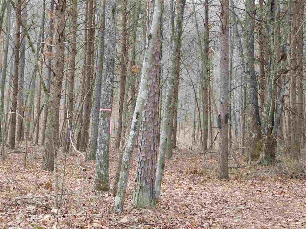 0 Scratch Ankle Road Whiteside, TN 37396 - Photo 5 of 6 20171481-2