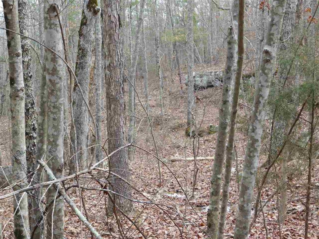 0 Scratch Ankle Road Whiteside, TN 37396 - Photo 6 of 6 20171481-3