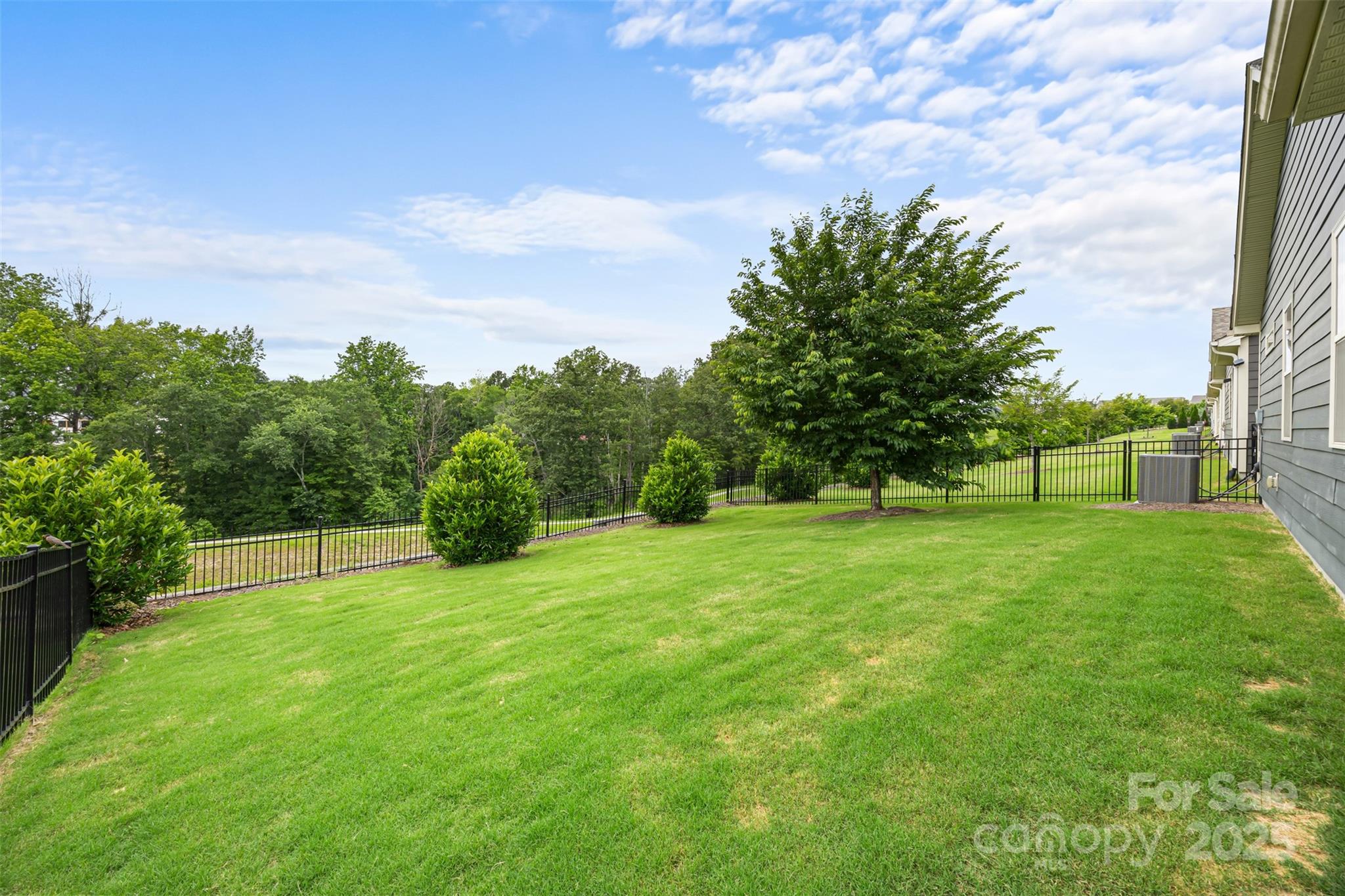 1284 Independence Street Fort Mill, SC 29708 - Photo 28 of 34 a view of a backyard with a garden