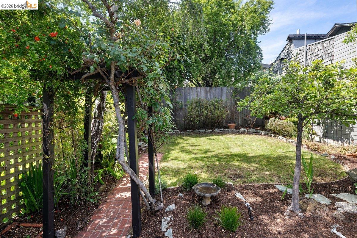 4369 Howe Street Oakland, CA 94611 - Photo 33 of 38 a view of a yard with plants and large trees