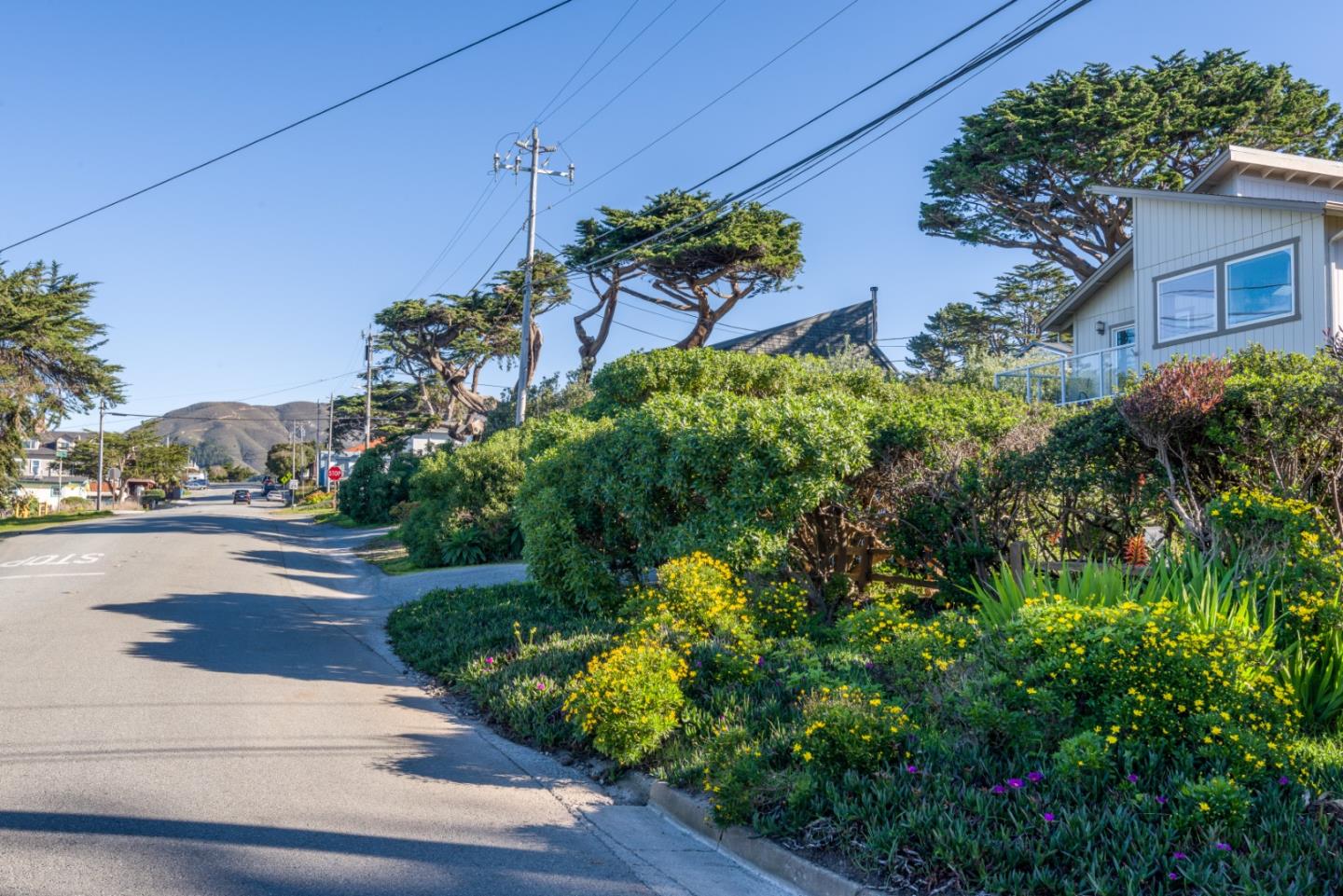0 Main Montara, CA 94037 - Photo 5 of 12 a view of a yard with plants