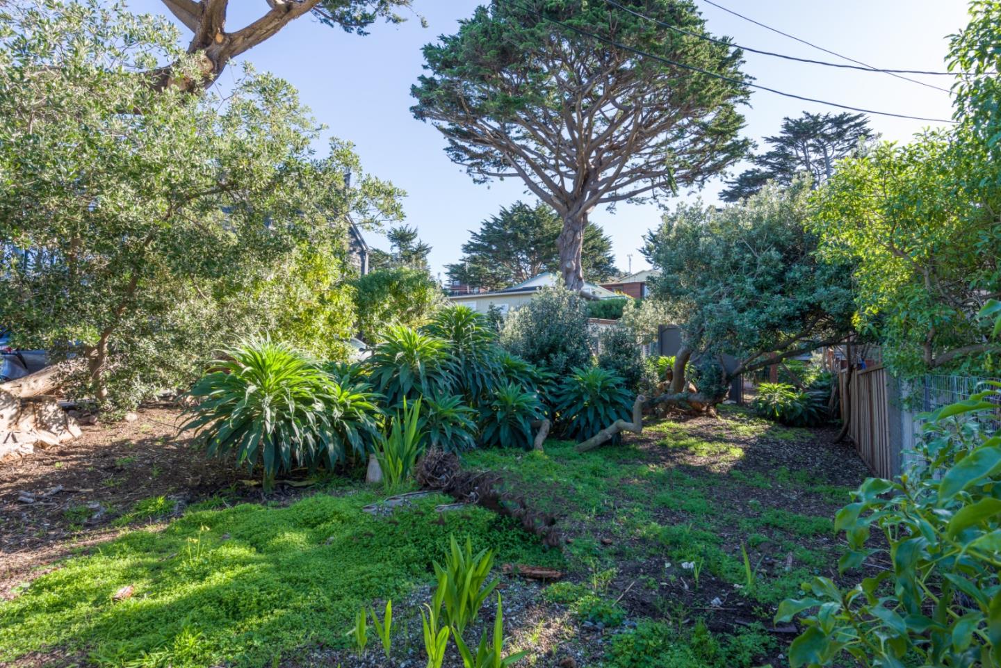 0 Main Montara, CA 94037 - Photo 6 of 12 a view of a backyard with plants and a patio