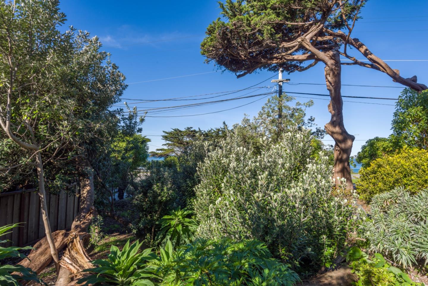 0 Main Montara, CA 94037 - Photo 9 of 12 a view of a yard