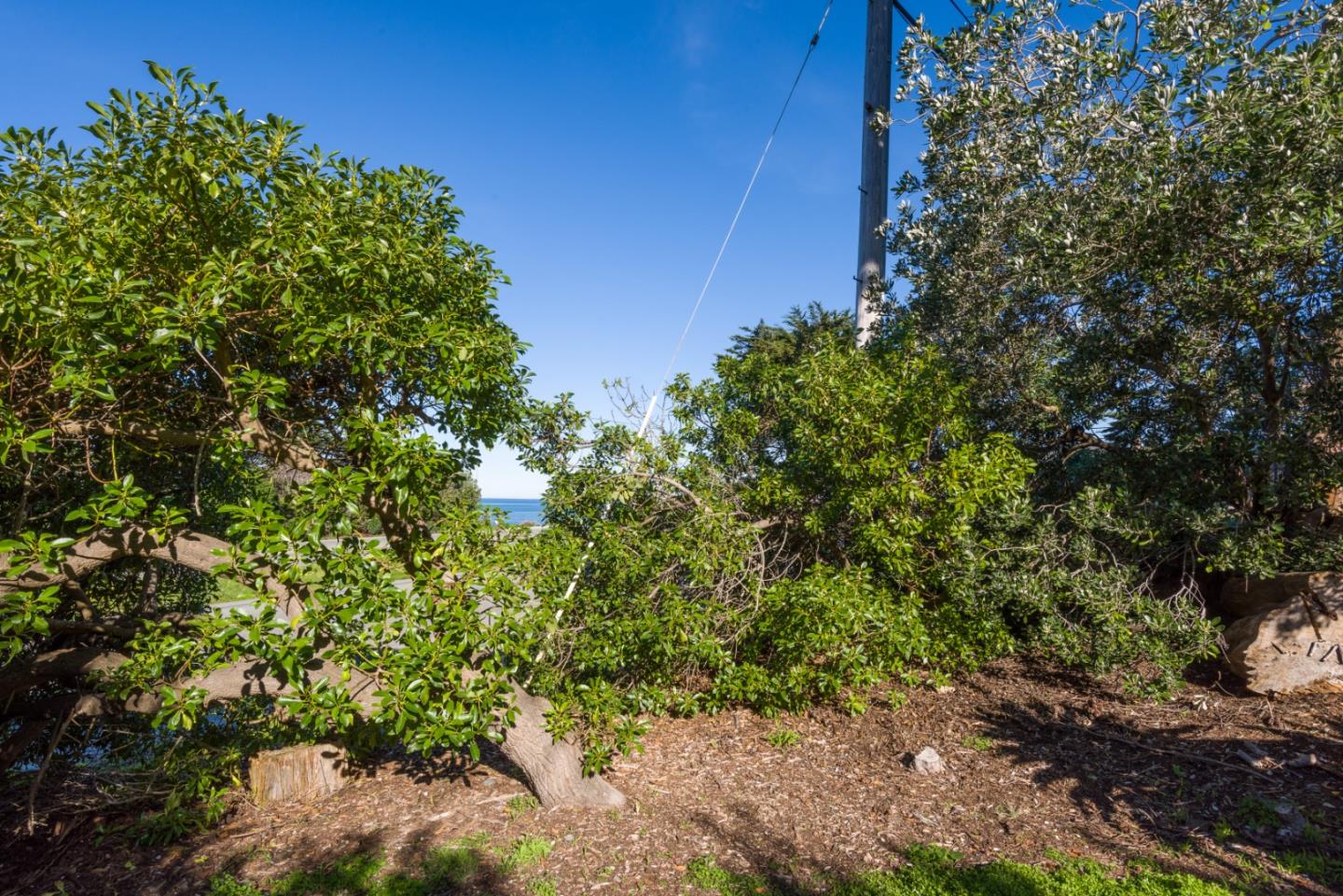 0 Main Montara, CA 94037 - Photo 10 of 12 a backyard of a house with lots of green space