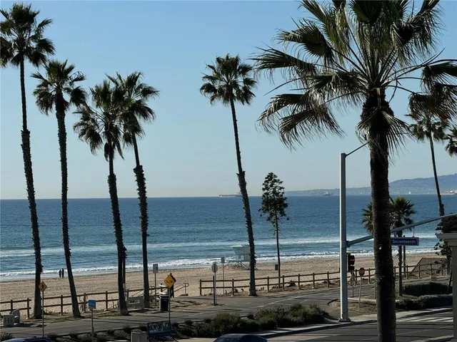 a view of ocean with palm trees