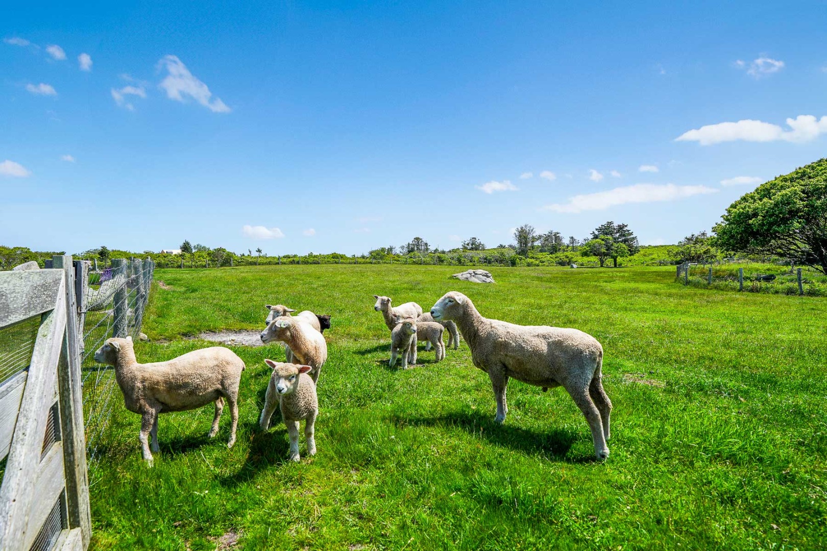 18 Spruce Gate Road Chilmark, MA 02535 - Photo 32 of 39