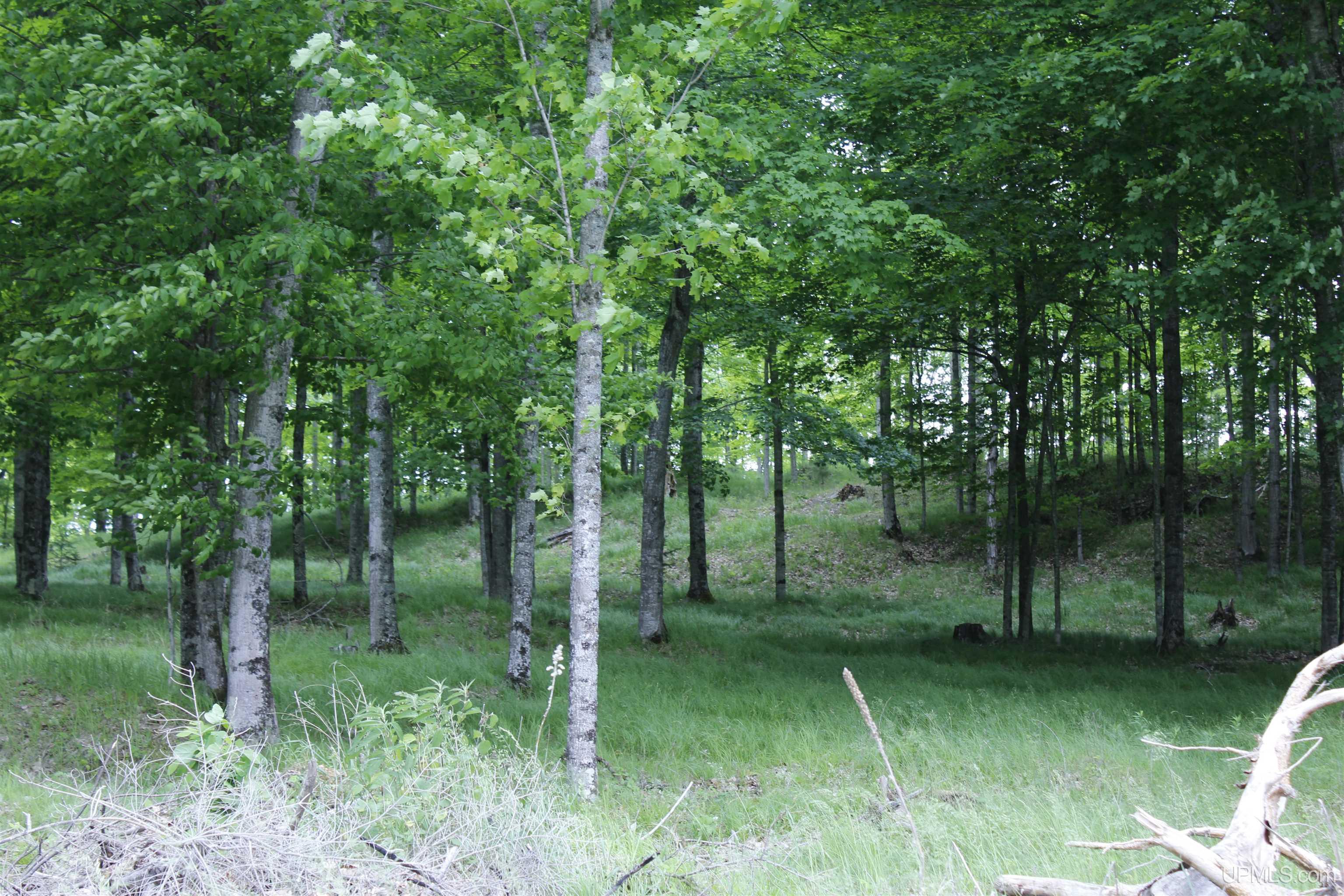 W2588 31 Lane Daggett, MI 49821 - Photo 36 of 58