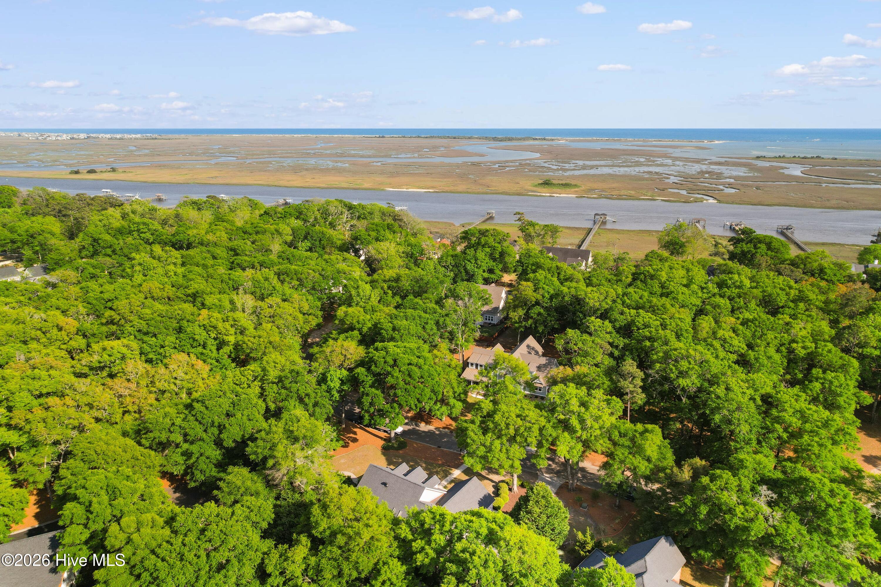 1308 Harbour Watch Southwest Calabash, NC 28467 - Photo 52 of 63