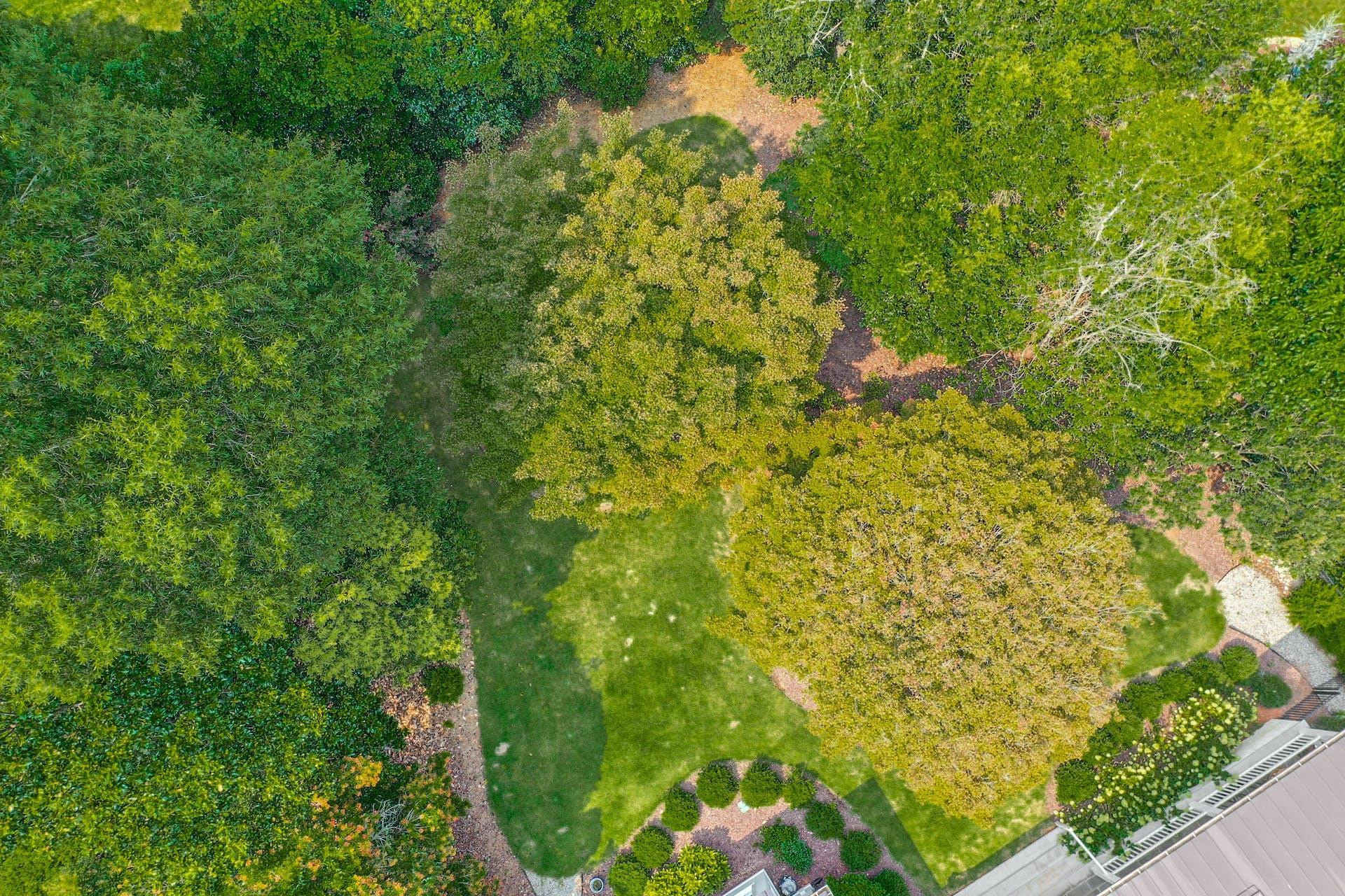 2610 Churchill Road Raleigh, NC 27608 - Photo 61 of 67 Photo 61