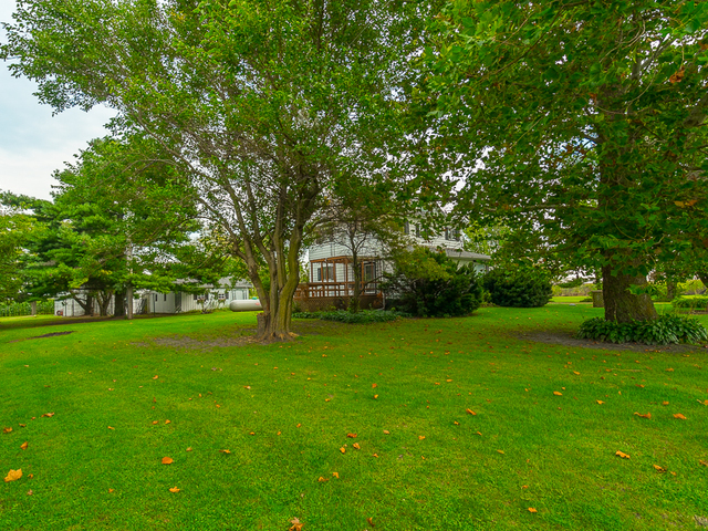 17447 West 2000N Road Reddick, IL 60961 - Photo 35 of 37 a big yard with large trees