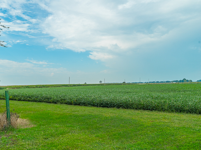 17447 West 2000N Road Reddick, IL 60961 - Photo 37 of 37 a view of a grassy field