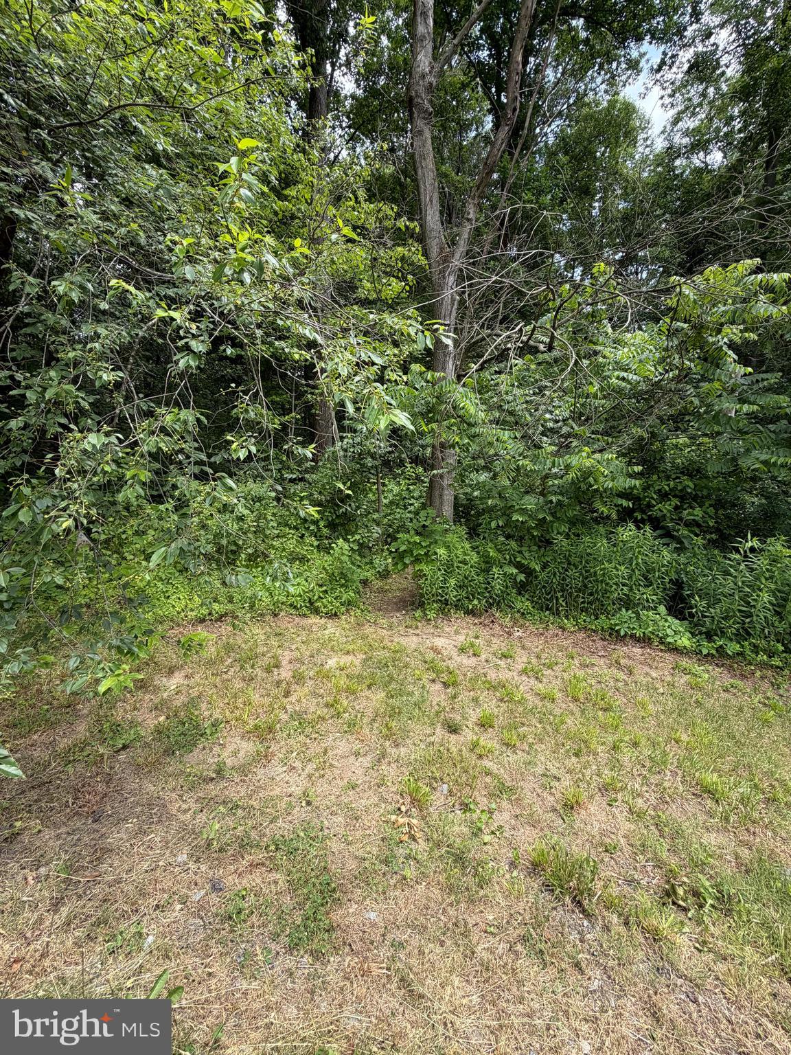 Ragan Road Conowingo, MD 21918 - Photo 4 of 7