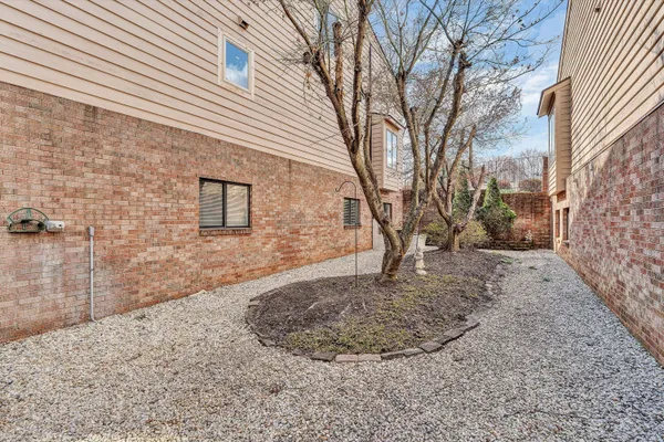 a view of a backyard with large trees
