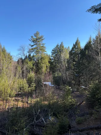 $60,000 | 7 Bog Brook Loop, West Paris, ME 04289