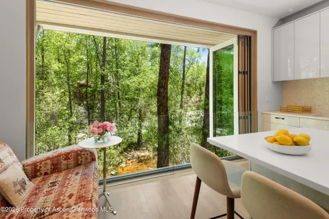 $10,900,000 | 1022 East Hyman Avenue, Unit 1 & 2, Aspen, CO 81611