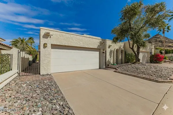 a view of a street with a tree