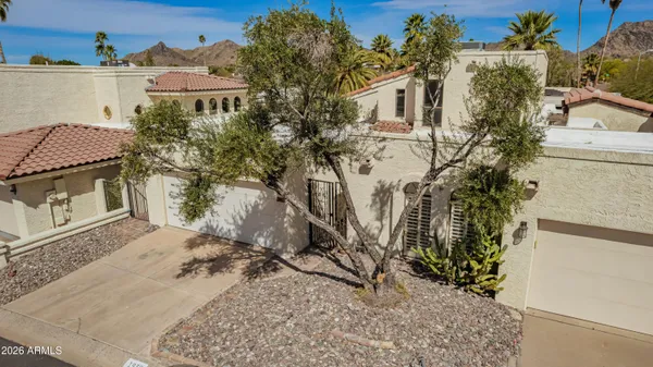 a view of a tree with a snow in the yard