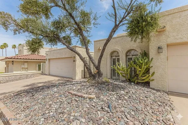 a view of a dry yard with mountain