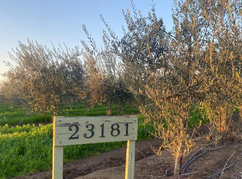 a sign that is on a pole