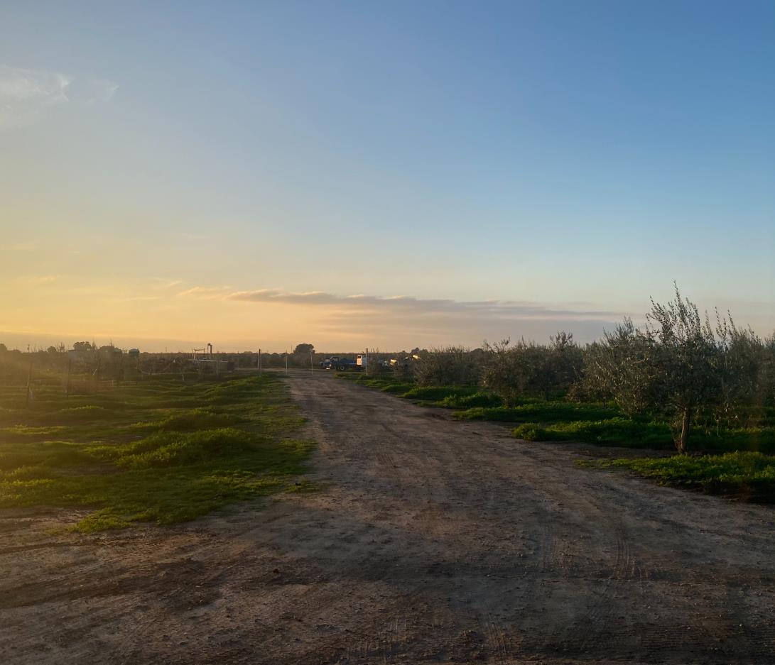 23181 Devries Road Lodi, CA 95242 - Photo 2 of 11 a view of a field with an ocean