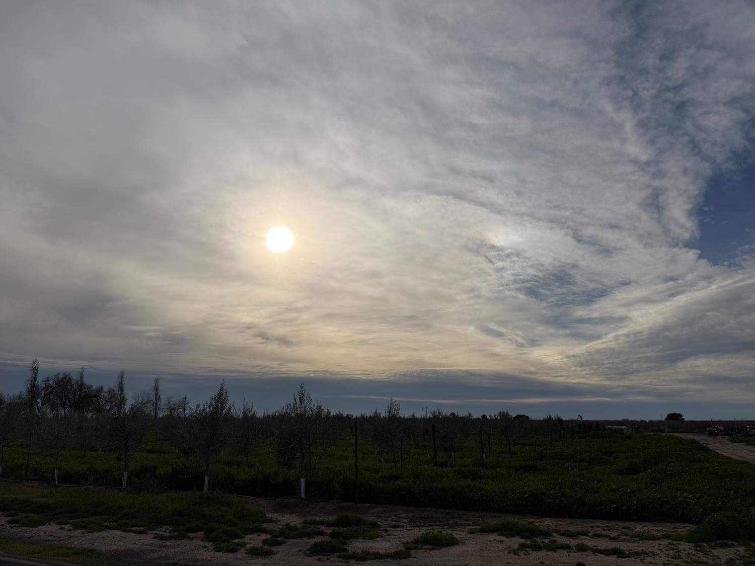 23181 Devries Road Lodi, CA 95242 - Photo 6 of 16 West View from Building Pad