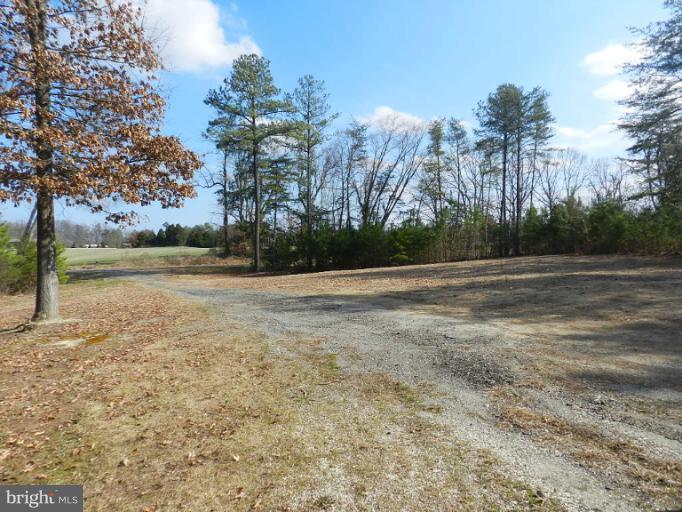 14372 Dry Bridge Road Ruther Glen, VA 22546 - Photo 14 of 19 Exterior (Front)