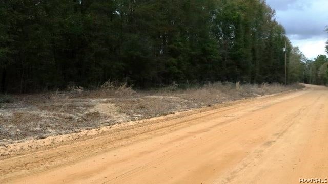 Tbd Spring Creek Road Geneva, AL 36340 - Photo 10 of 11 Gallery Image 10
