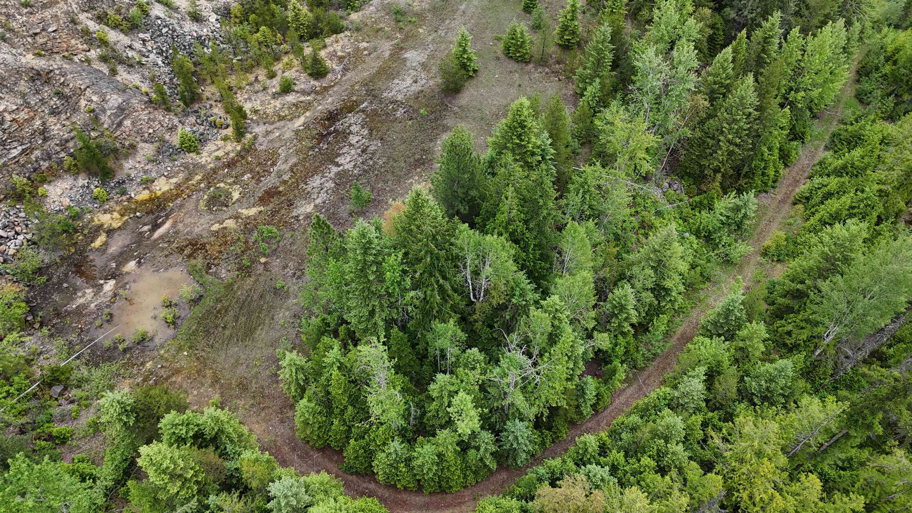 Nka Nka Boundary Road Colville, WA 99114 - Photo 22 of 41