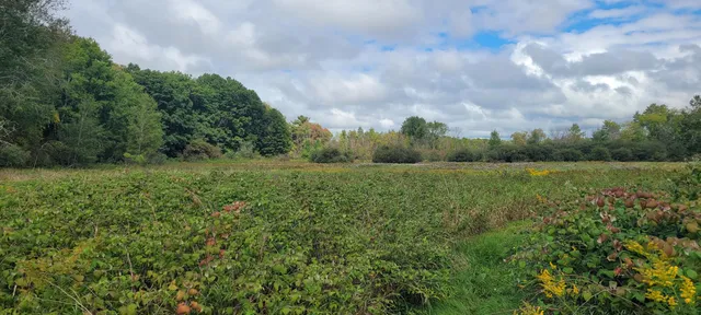 $370,000 | 881 South Brye Road, Ludington, MI 49431