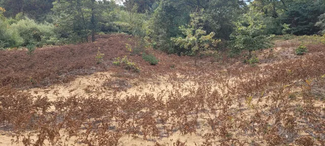 $370,000 | 881 South Brye Road, Ludington, MI 49431