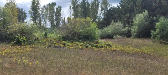 $370,000 | 881 South Brye Road, Ludington, MI 49431