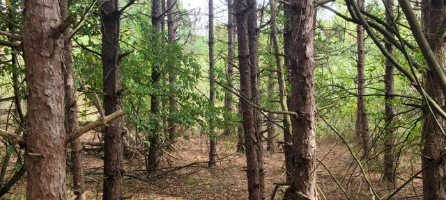 $370,000 | 881 South Brye Road, Ludington, MI 49431