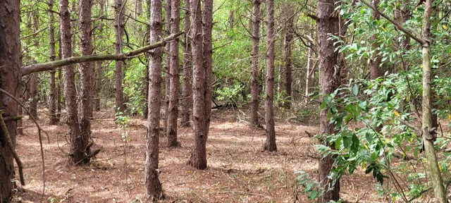 $370,000 | 881 South Brye Road, Ludington, MI 49431