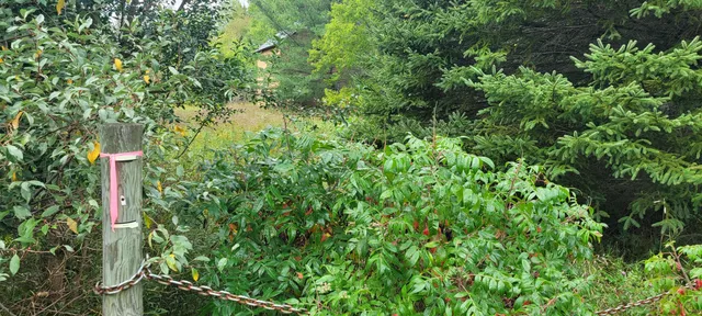 $370,000 | 881 South Brye Road, Ludington, MI 49431