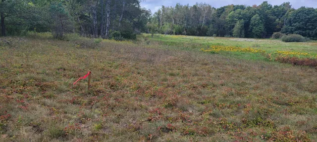 $370,000 | 881 South Brye Road, Ludington, MI 49431