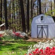 11905 Old Creedmoor Road Raleigh, NC 27613 - Photo 24 of 24 Exterior Back